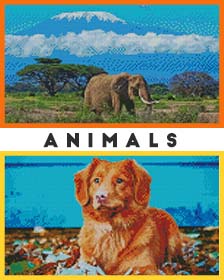 Animals