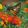 Swallowtail On Marigolds Diamond Painting