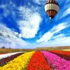 Air Balloon Over Colorful Flowers Field diamond painting