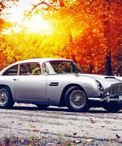 Aston Martin DB5 With Sunset diamond painting