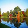 Autumn Sheffield Park And Garden diamond painting