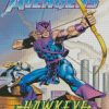 Avengers Hawkeye Hero diamond painting