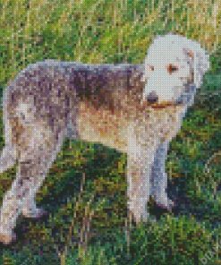 Bedlington Dog Diamond Painting