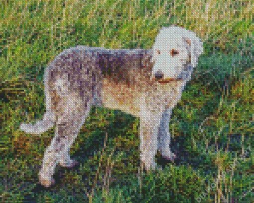 Bedlington Dog Diamond Painting