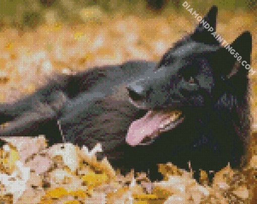 Belgian Shepherd Enjoying The Autumn diamond painting