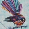 Colorful Fantail Bird Art diamond painting