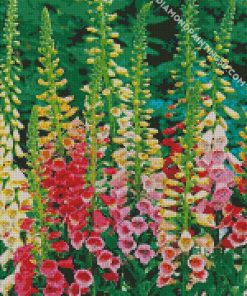 Colorful Foxglove Plants diamond painting