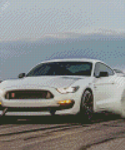 Drifting Ford Shelby GT350R Diamond Painting