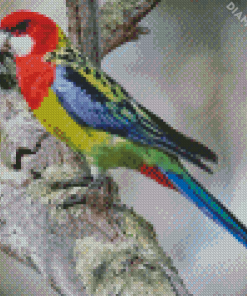 Eastern Rosella Diamond Painting