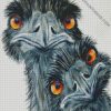 Emus Birds diamond painting