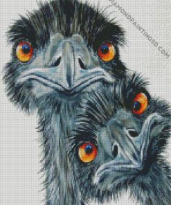 Emus Birds diamond painting