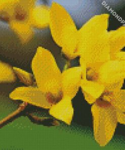 Forsythia Flowering Plant diamond painting