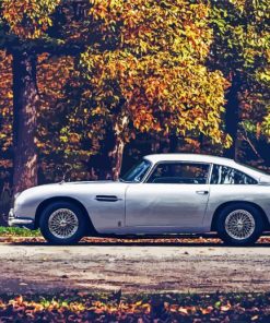 Grey Aston Martin DB5 Car diamond painting