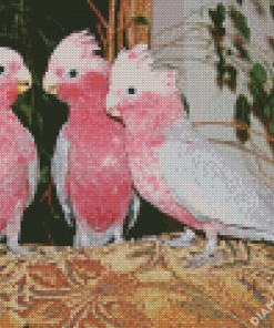 Grey And Pink Cockatoo Birds Diamond Painting