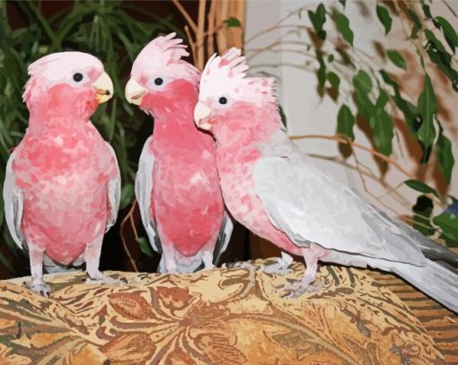 Grey And Pink Cockatoo Birds Diamond Painting