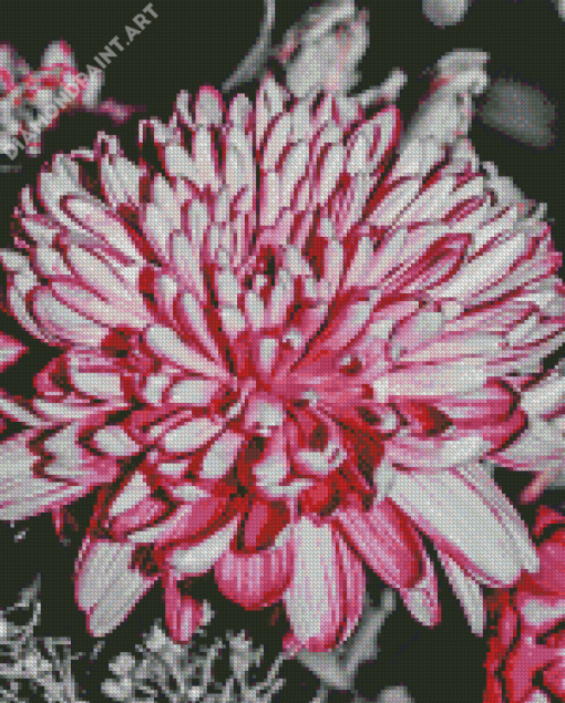 Grey And Pink Flower Diamond Painting