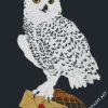 Harry Potter Hedwig Diamond Painting