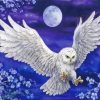 Harry Potter Hedwig Owl Diamond Painting