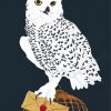 Harry Potter Hedwig Diamond Painting