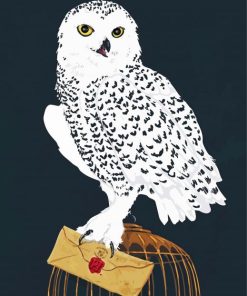 Harry Potter Hedwig Diamond Painting