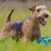 Lakeland Terrier Dog Diamond Painting