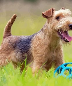 Lakeland Terrier Dog Diamond Painting