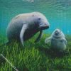 Manatees diamond painting