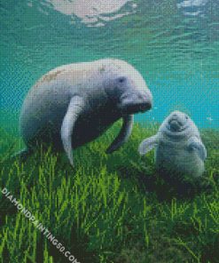 Manatees diamond painting