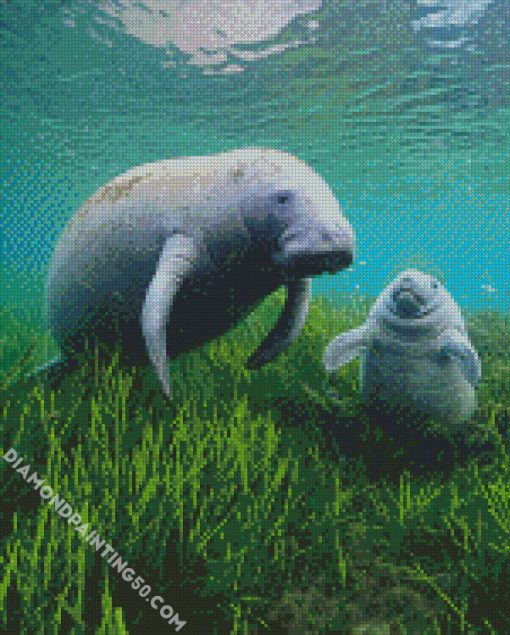 Manatees diamond painting