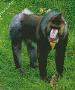 Mandrill diamond painting