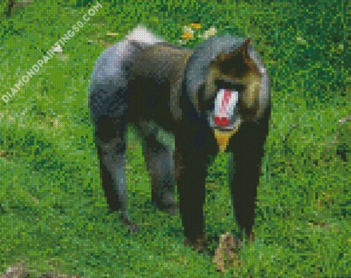 Mandrill diamond painting