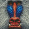 Mandrill Monkey diamond painting