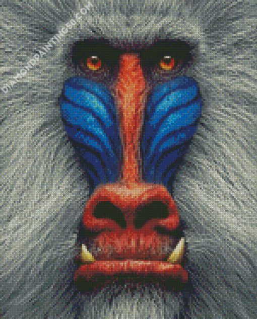 Mandrill Monkey diamond painting