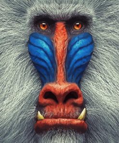 Mandrill Monkey diamond painting