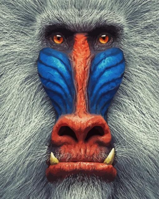 Mandrill Monkey diamond painting