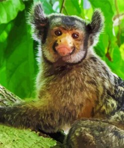 Marmoset Animal Diamond Painting