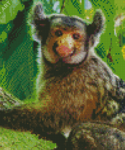 Marmoset Animal Diamond Painting