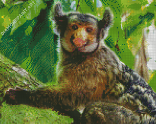 Marmoset Animal Diamond Painting