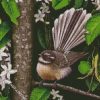 New Zealand Fantail Bird diamond painting