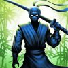 Ninja Assassin Warrior diamond painting