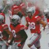 Ohio State Buckeyes Players diamond painting