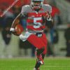 Ohio State Buckeyes Team Player diamond painting