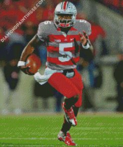 Ohio State Buckeyes Team Player diamond painting