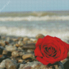 Red Roses And Beach Diamond Painting