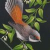 Rufous Fantail Web diamond painting