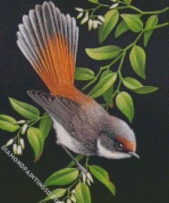 Rufous Fantail Web diamond painting