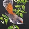 Rufous Fantail Web diamond painting