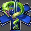 Star Of Life With Snake Art Diamond Painting