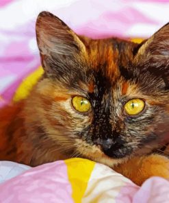 The Tortoiseshell Cat Diamond Paintings