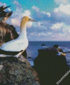 Aesthetic Gannet diamond painting